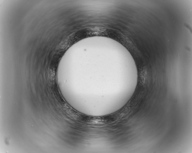 X0000102220657200808151706