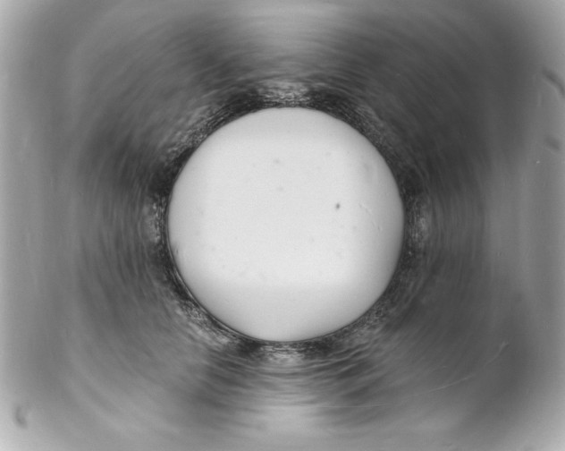 X0000102220658200808151706