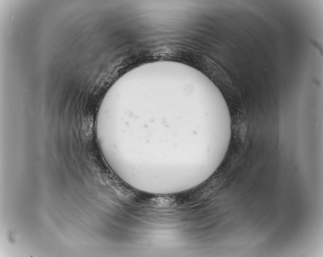 X0000102220660200808151706