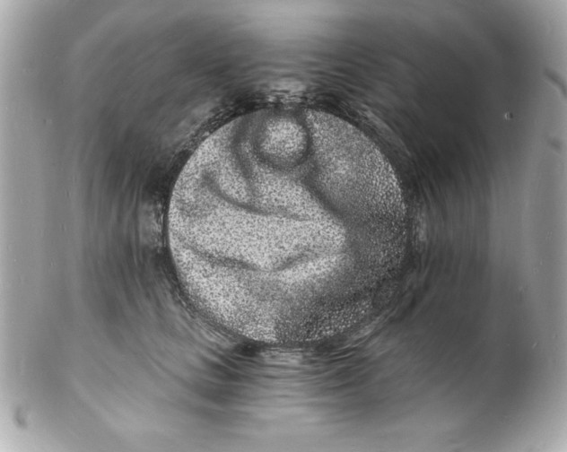 X0000102220661200808151706