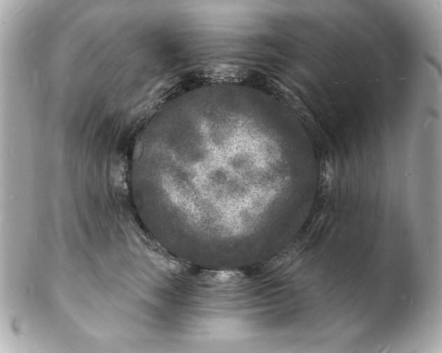 X0000102220663200808151706