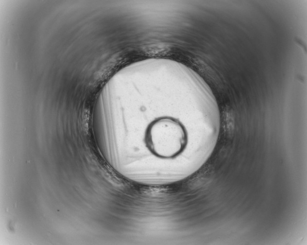 X0000102220664200808151707