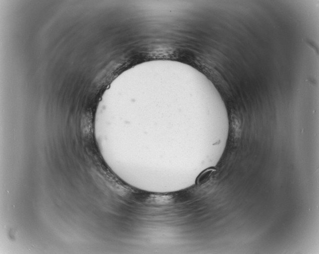 X0000102220665200808151707