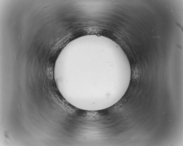 X0000102220666200808151707