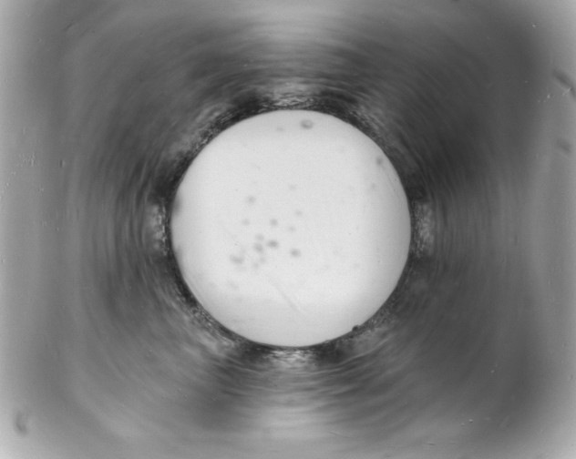 X0000102220667200808151707