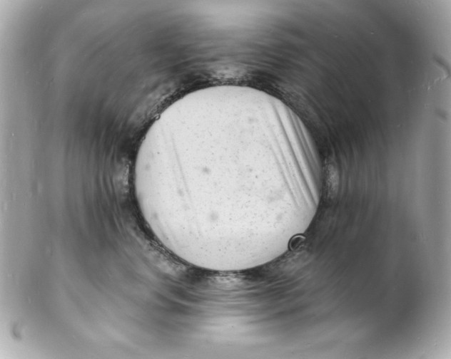 X0000102220668200808151707