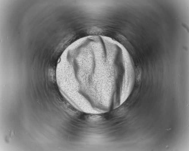 X0000102220669200808151707