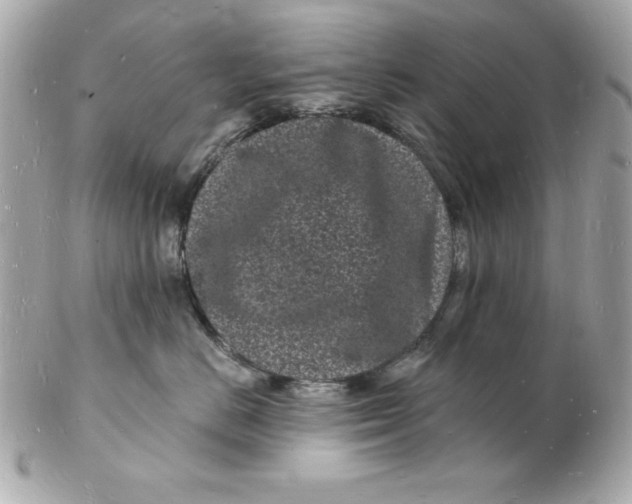 X0000102220670200808151707