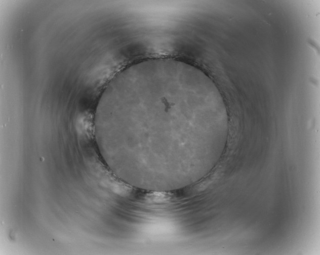 X0000102220672200808151707