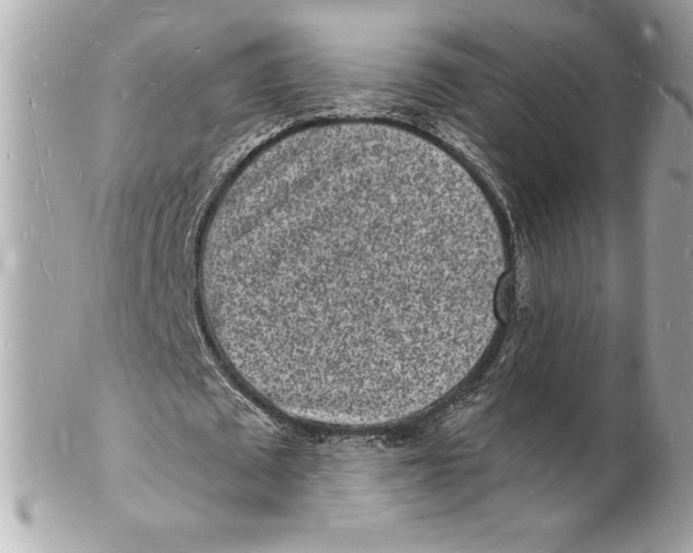 X0000102220673200808151706