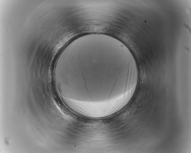 X0000102220674200808151706