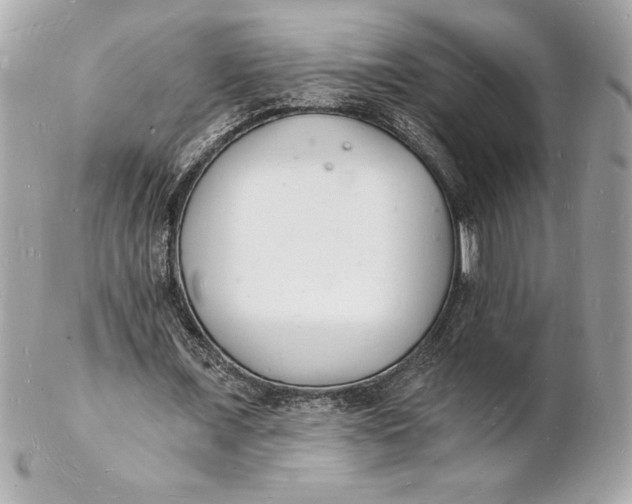 X0000102220675200808151706