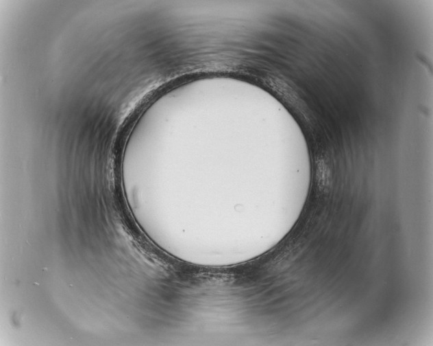 X0000102220676200808151706