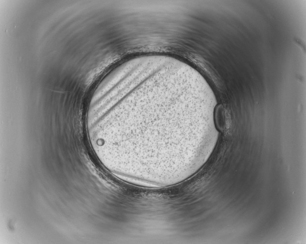 X0000102220677200808151706