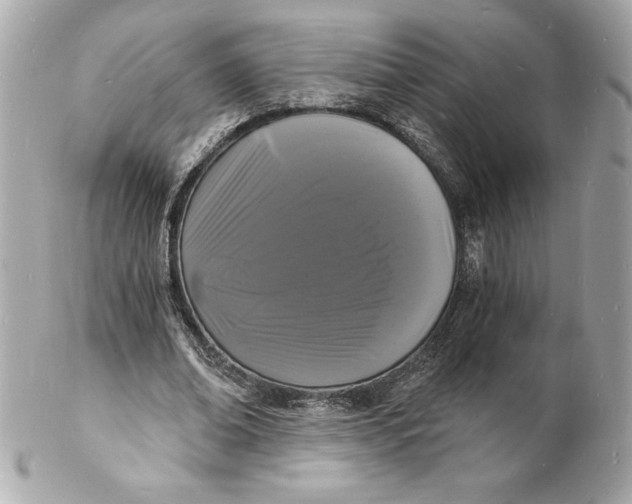 X0000102220678200808151706