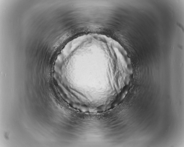 X0000102220679200808151706