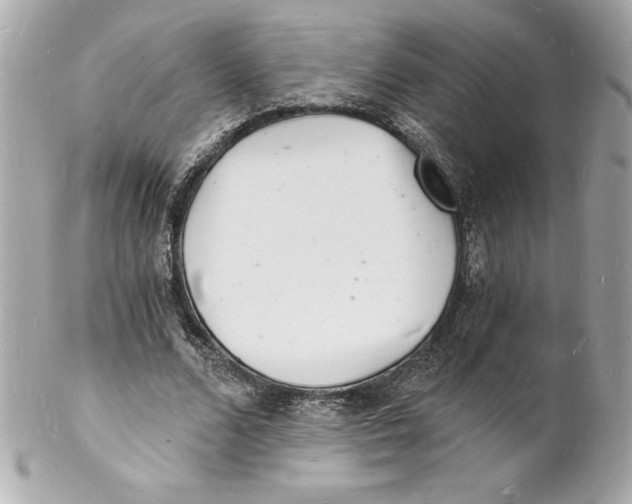 X0000102220680200808151706