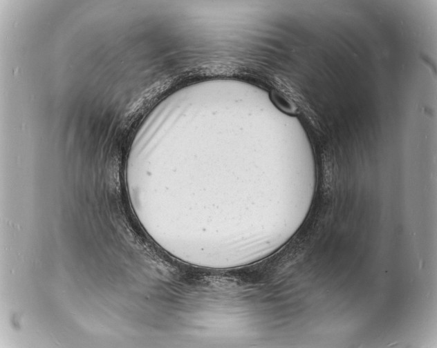 X0000102220681200808151706