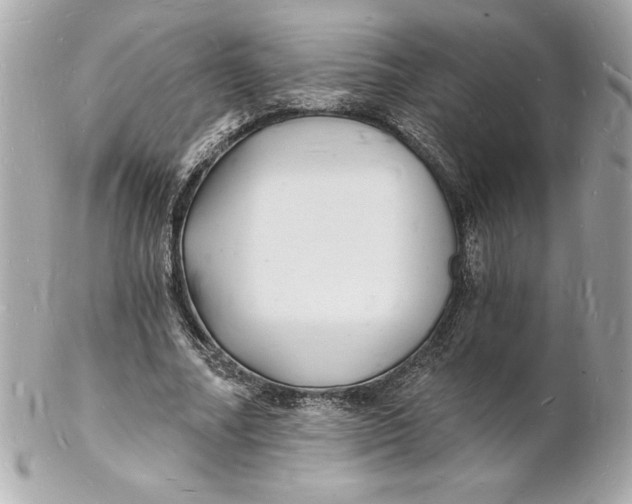 X0000102220682200808151706