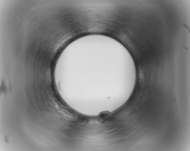 X0000102220684200808151706