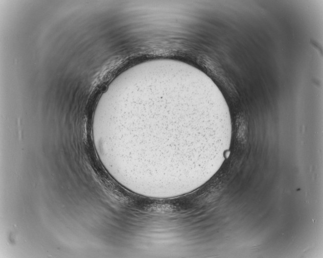 X0000102220685200808151706