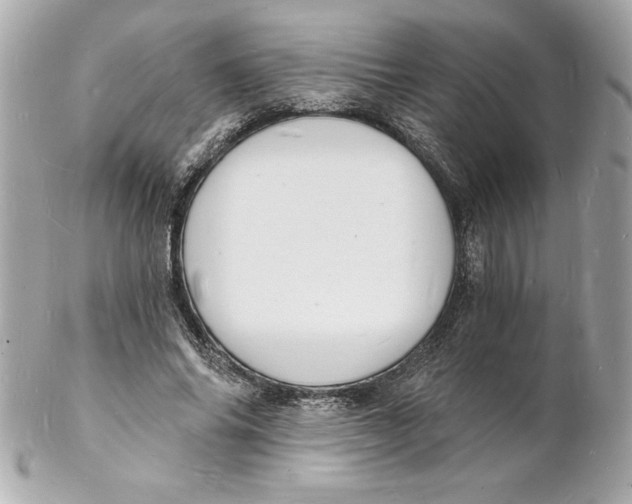 X0000102220686200808151706