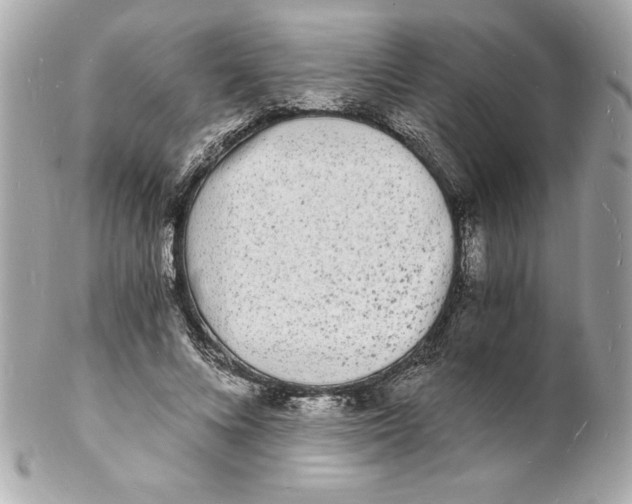 X0000102220688200808151706