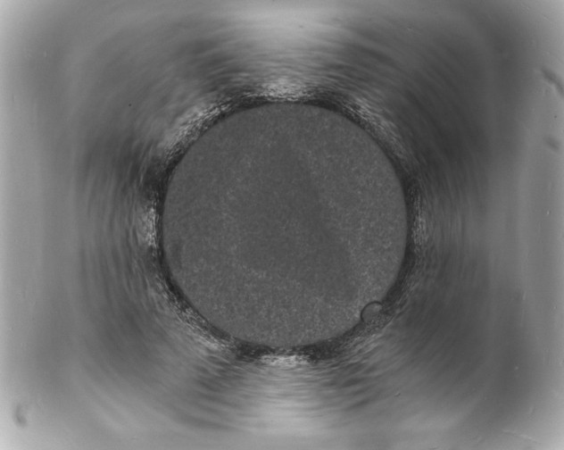 X0000102220689200808151706