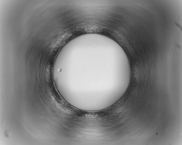 X0000102220690200808151706