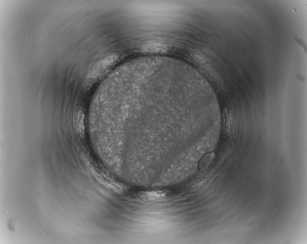 X0000102220692200808151706