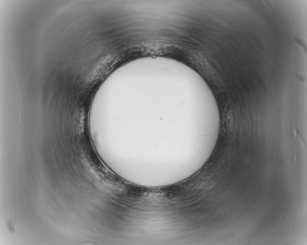 X0000102220694200808151706