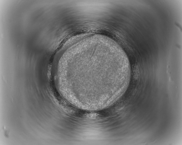 X0000102220695200808151706