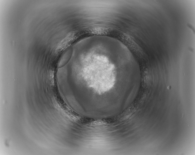 X0000102220696200808151706