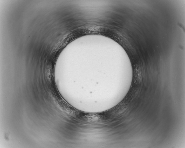 X0000102220698200808151706