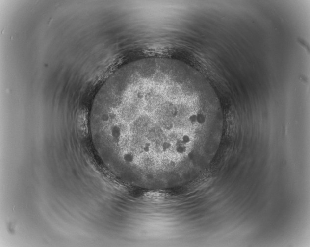 X0000102220699200808151706