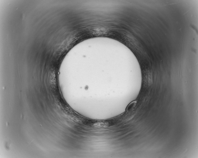 X0000102220700200808151706