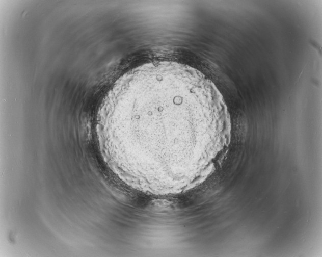 X0000102220703200808151706