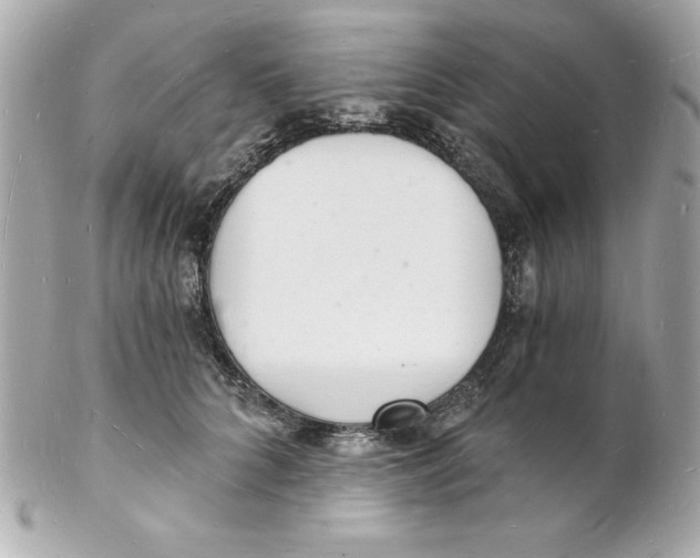 X0000102220704200808151705