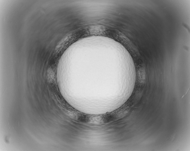 X0000102220705200808151705