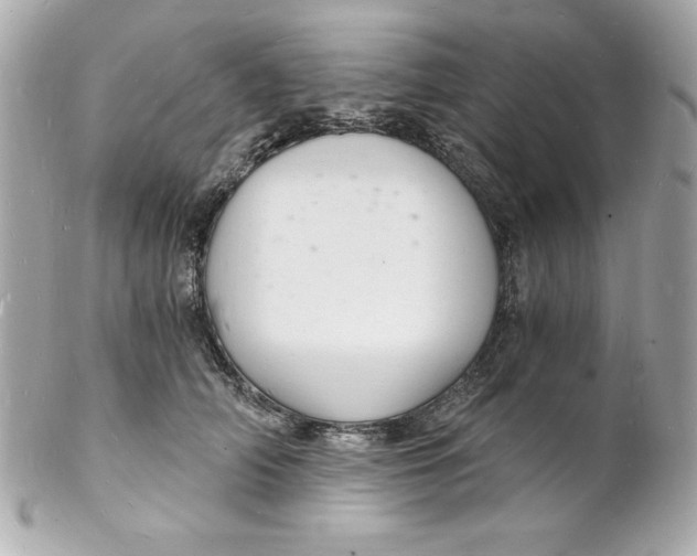 X0000102220706200808151705