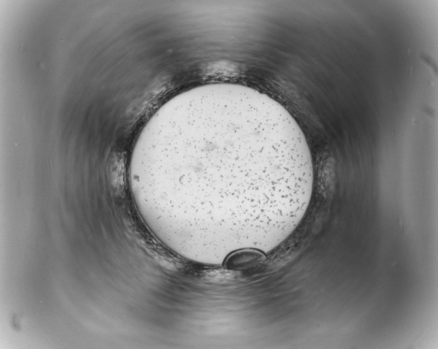 X0000102220708200808151705