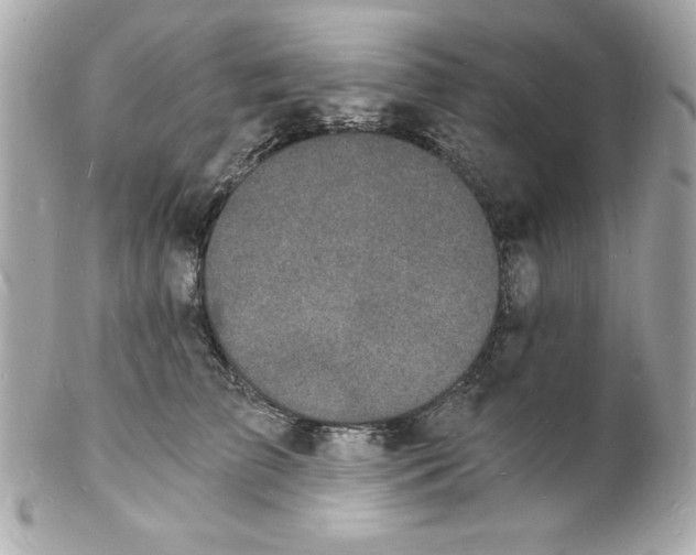 X0000102220709200808151705