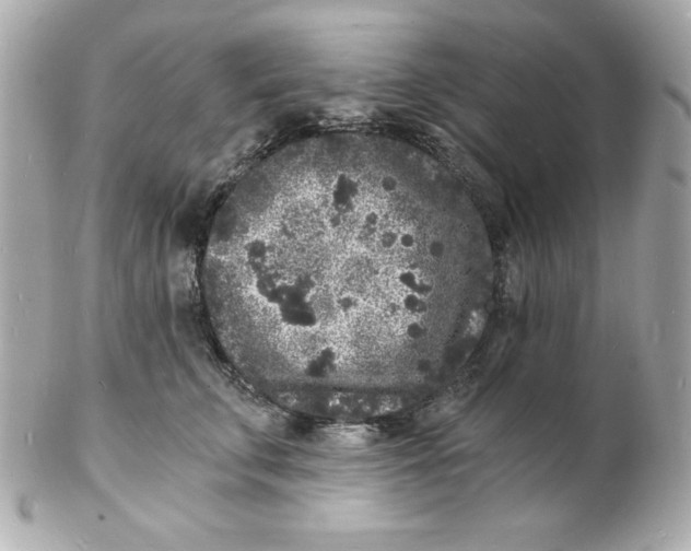 X0000102220711200808151705