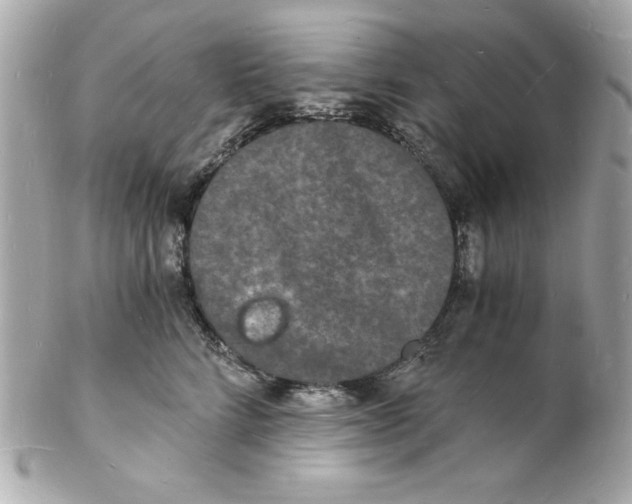 X0000102220712200808151705