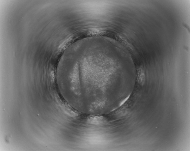 X0000102220716200808151705