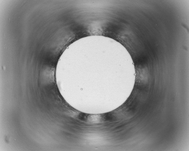 X0000102220717200808151705