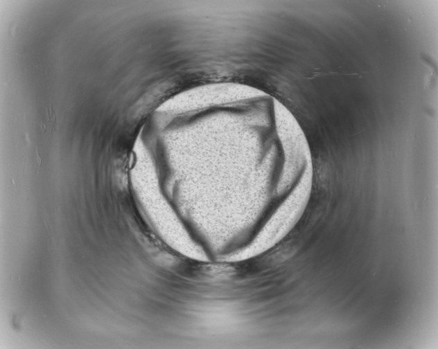 X0000102220719200808151705