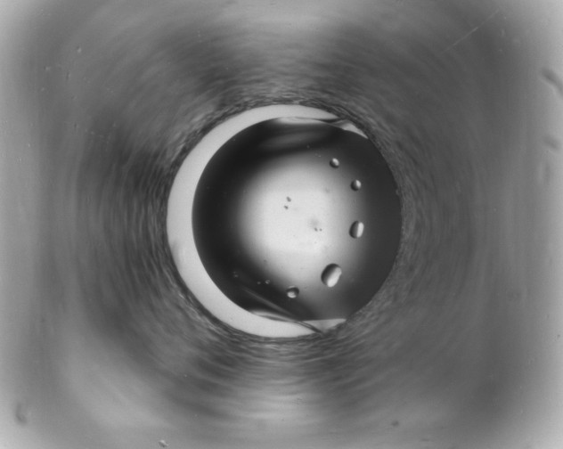 X0000102220720200808151705