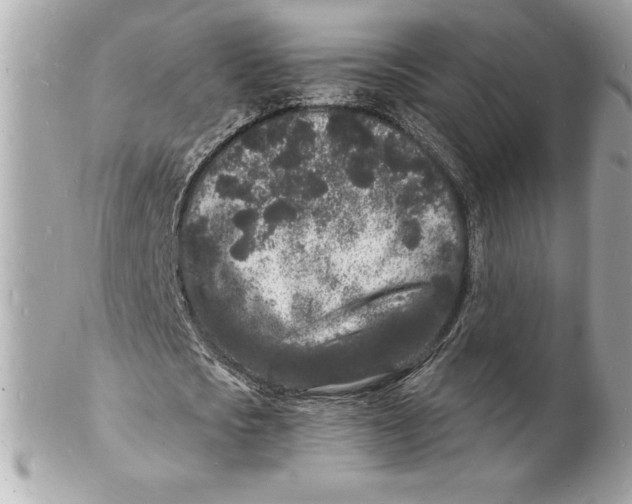 X0000102220721200808151704