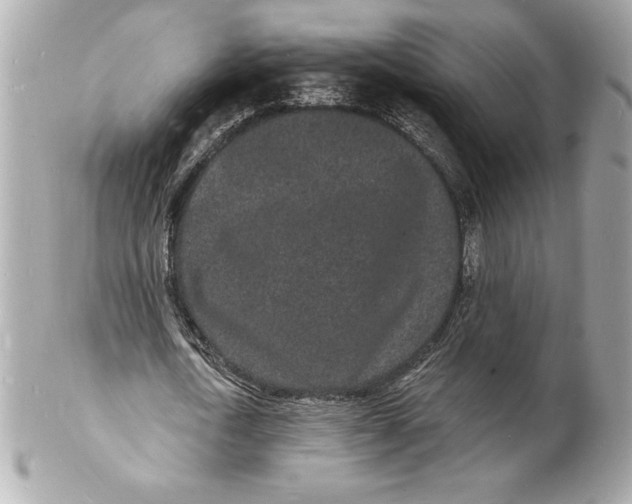 X0000102220722200808151704